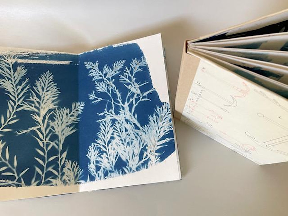 Cyanotype Prints & Book Making - Feb 21 & 22, 2026