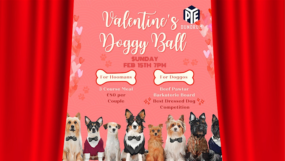 Doggy Valentine's Ball 2026 at PYE Dundrum
