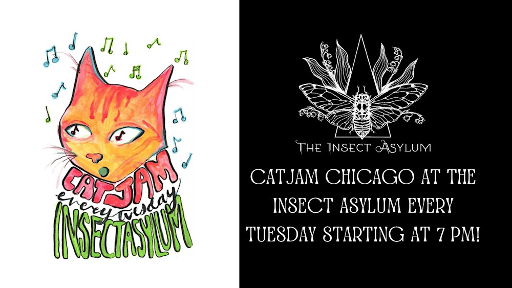 Cat Jam Chicago at The Insect Asylum!