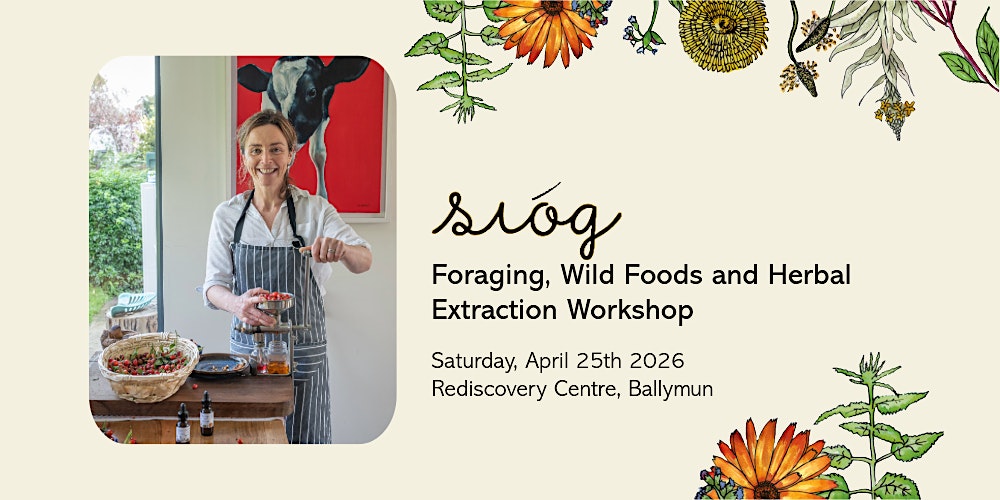 Sióg: Foraging, Wild Foods and Herbal Extraction Workshop
