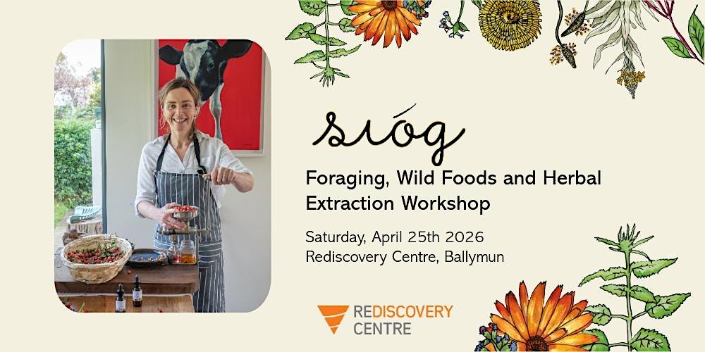 Sióg: Foraging, Wild Foods and Herbal Extraction Workshop