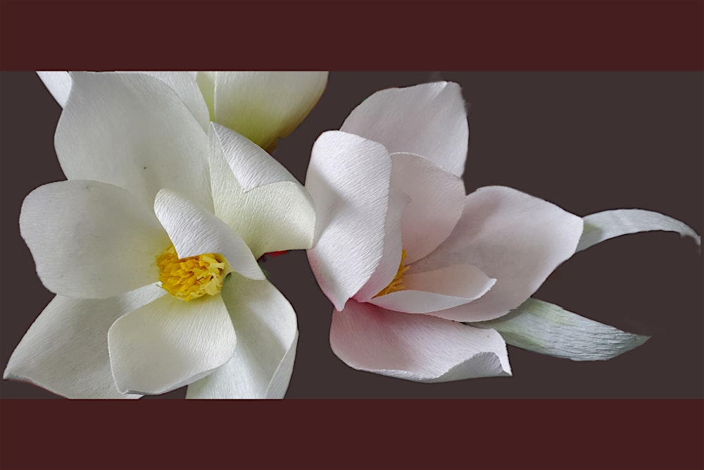 Petal to Paper: Paper Magnolia Workshop