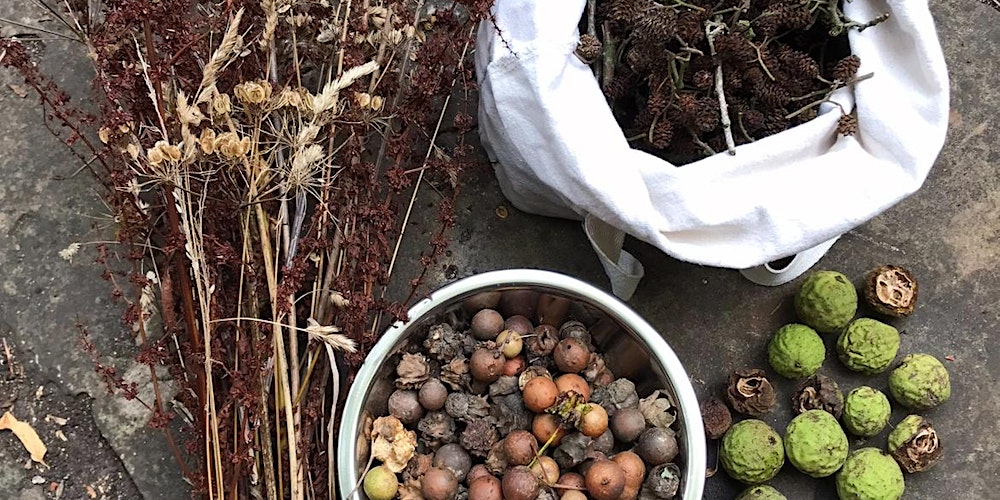 Wild Colour, Natural Ink Workshop