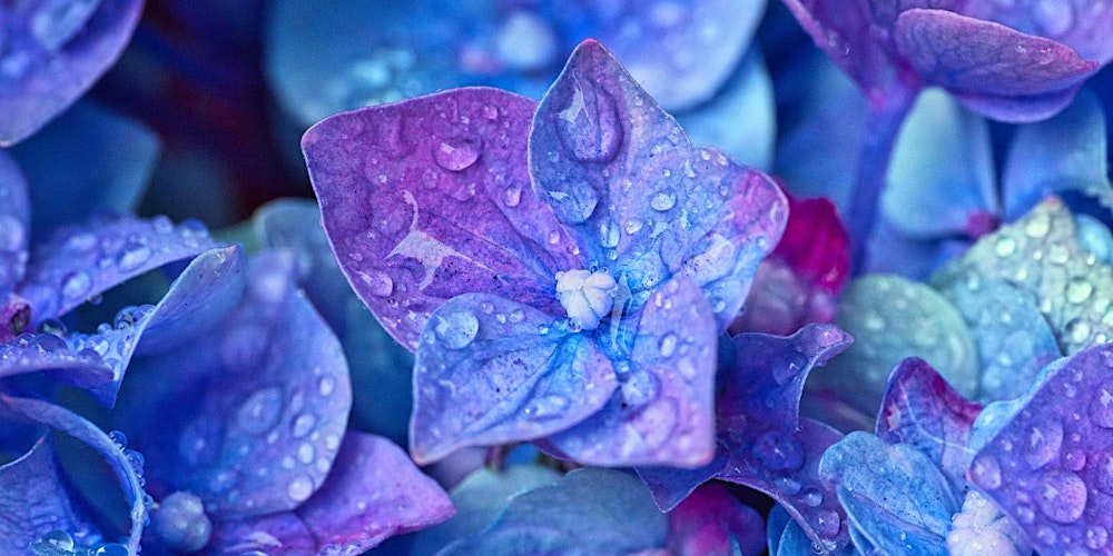 Peace Prayer Meditation & Reiki share with Jaslyn