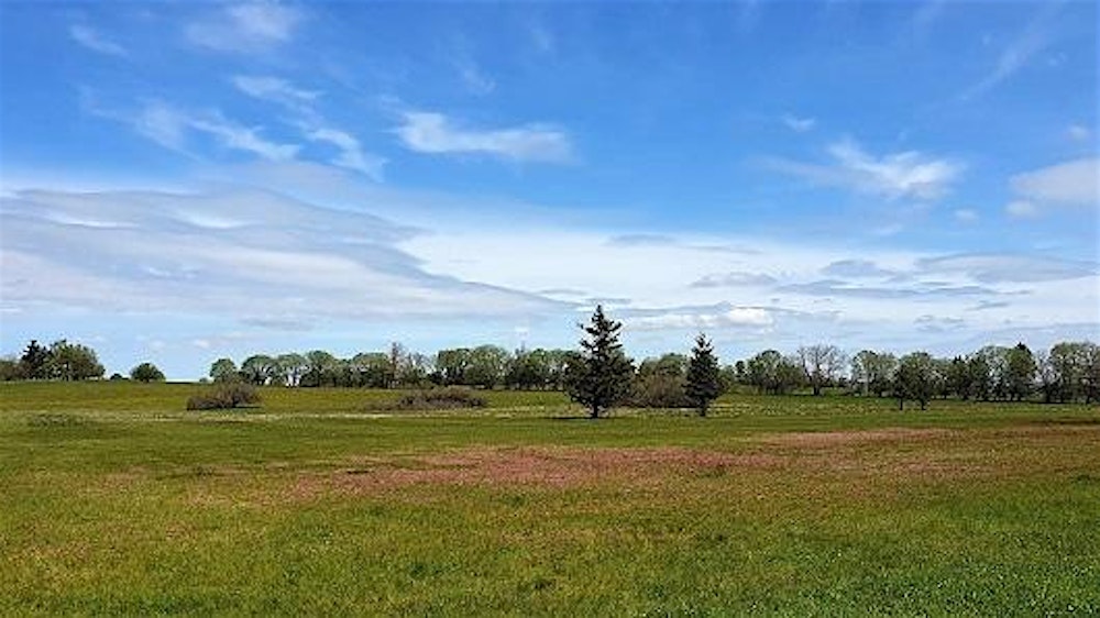 30.01.26 Single Reise Rhön - Naturparadies: Land der offenen Fernen 30-49J