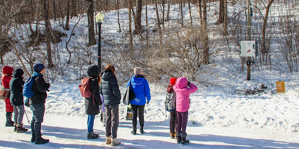 Randonnée pédestre: À la découverte des oiseaux du mont Royal