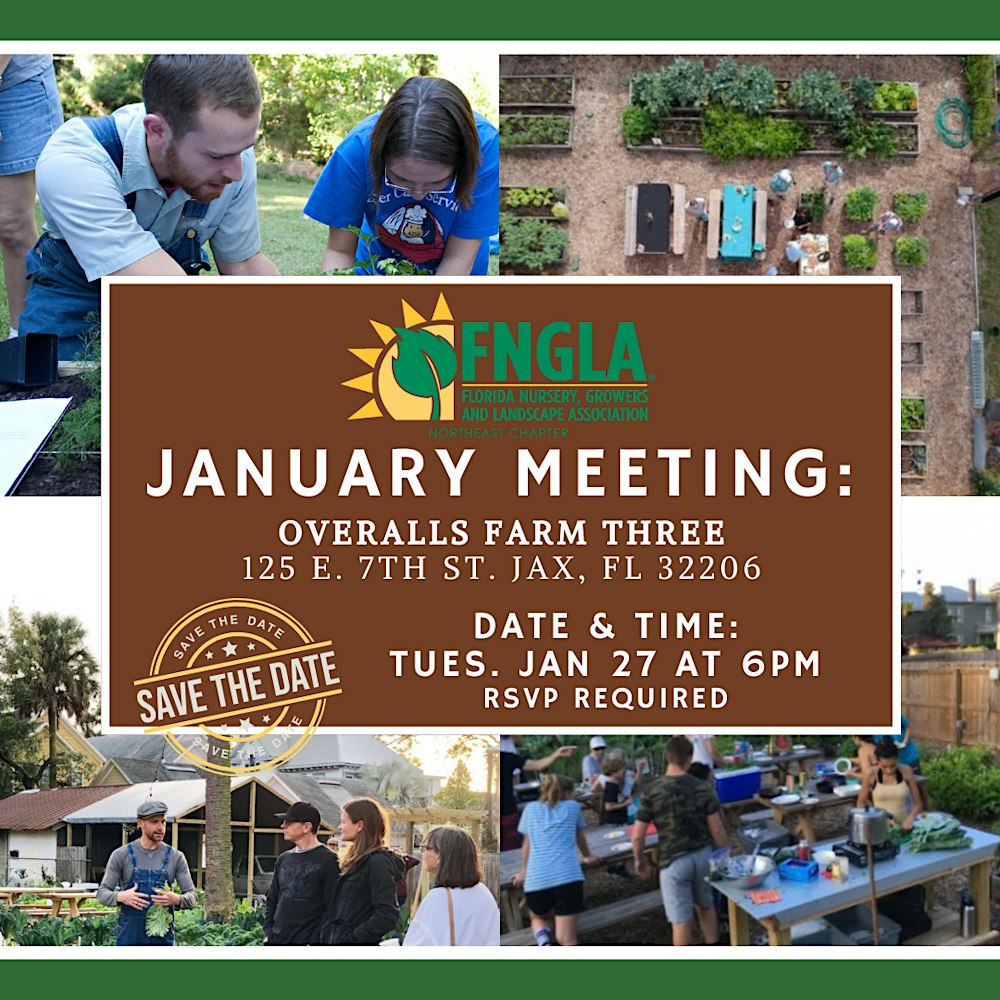 January NEFNGLA Chapter Meeting