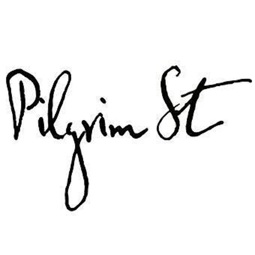 Pilgrim Street - Live in Dublin