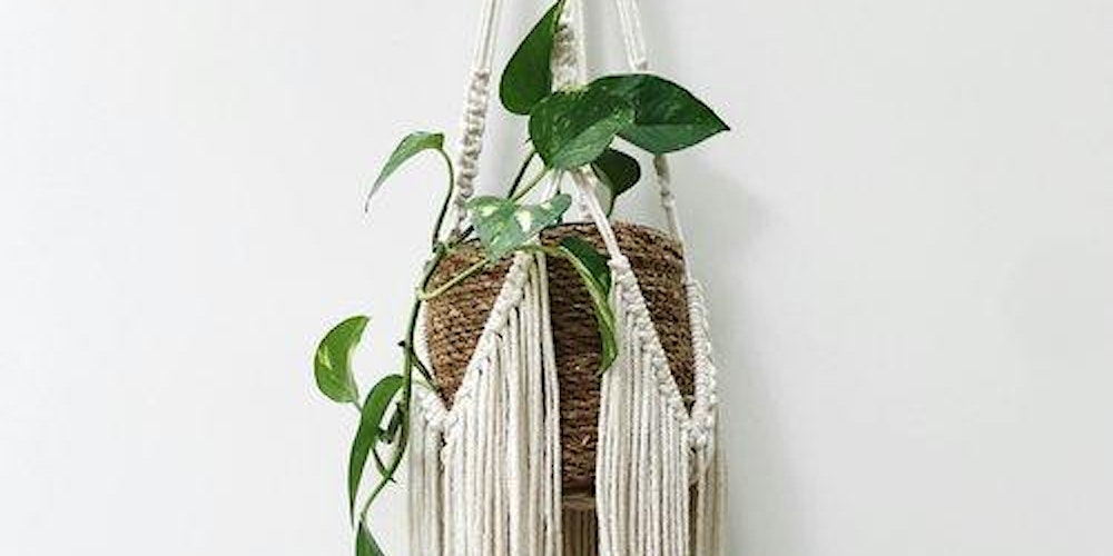 Macrame Plant Hanging Workshop