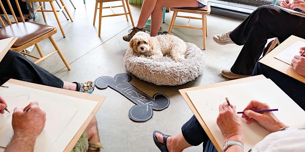 Dog Life Drawing at Boston Tea Party, Bristol - Spring Season