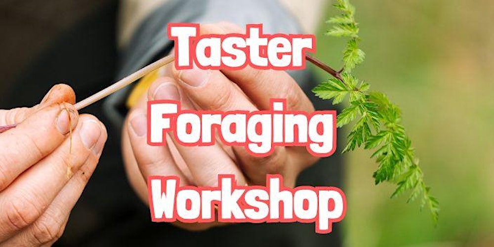 TASTER Foraging Workshop in Frodsham (Cheshire)