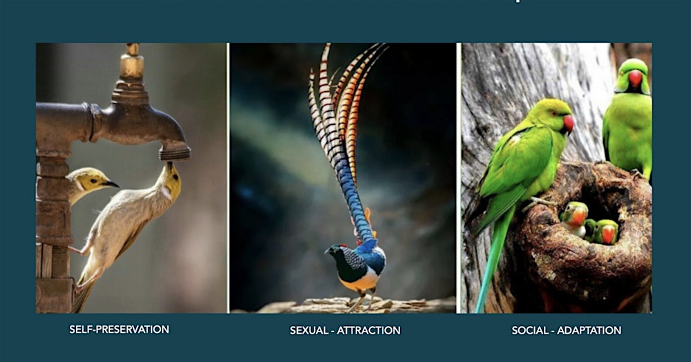 The Enneagram and Three Instincts (Subtypes) Workshop