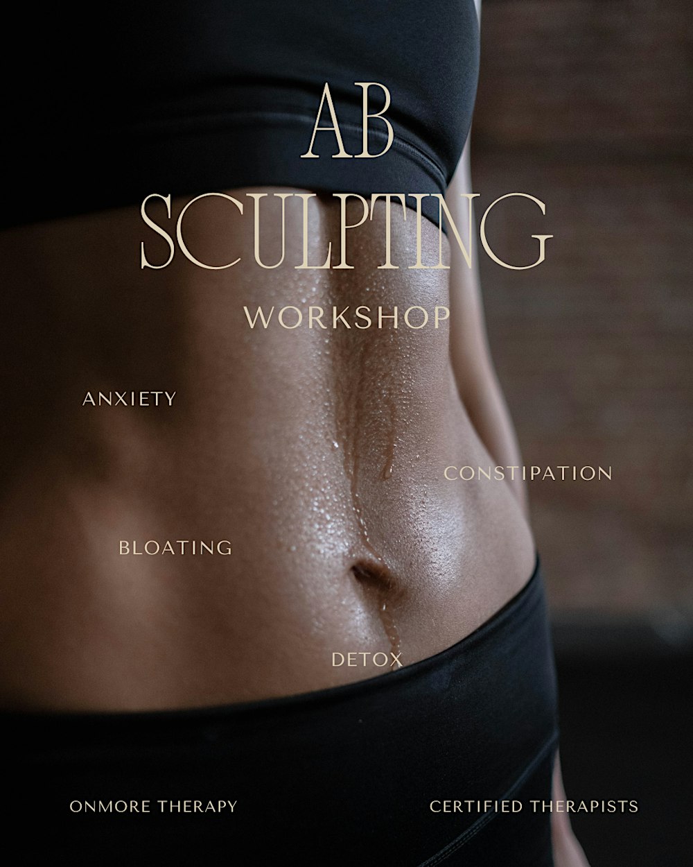 Professional Abdominal Sculpting Workshop