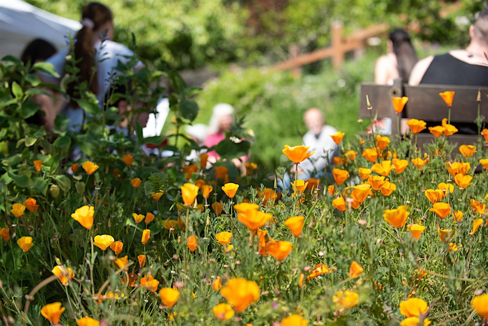 Growing a Garden: Where to Start Workshops 2026