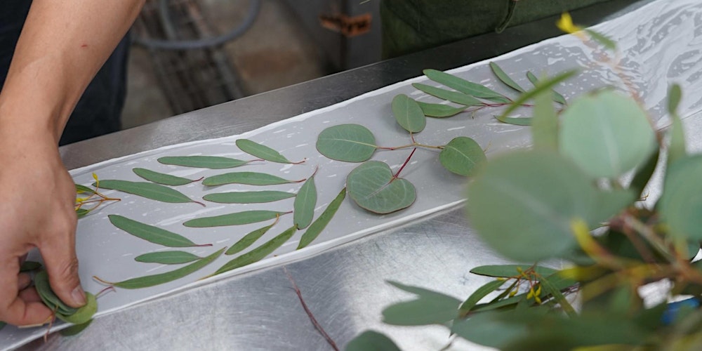 Eco Print and Dye Workshop