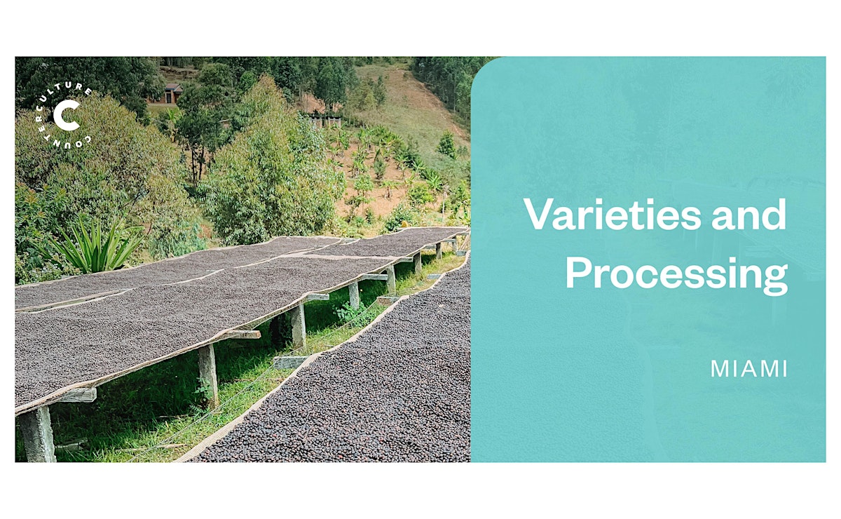 Coffee Origins: Varieties and Processing - Miami