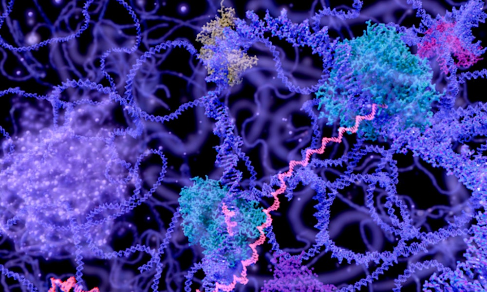Saturday DNA! NYC - Structural Biology: The Building Blocks of Life