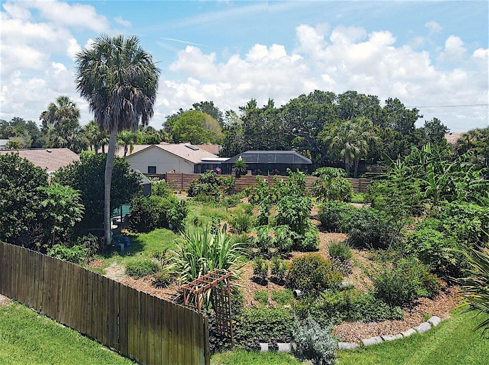 Growing Tropical Fruit Trees in Your Yard w/ Lev Pasikhov