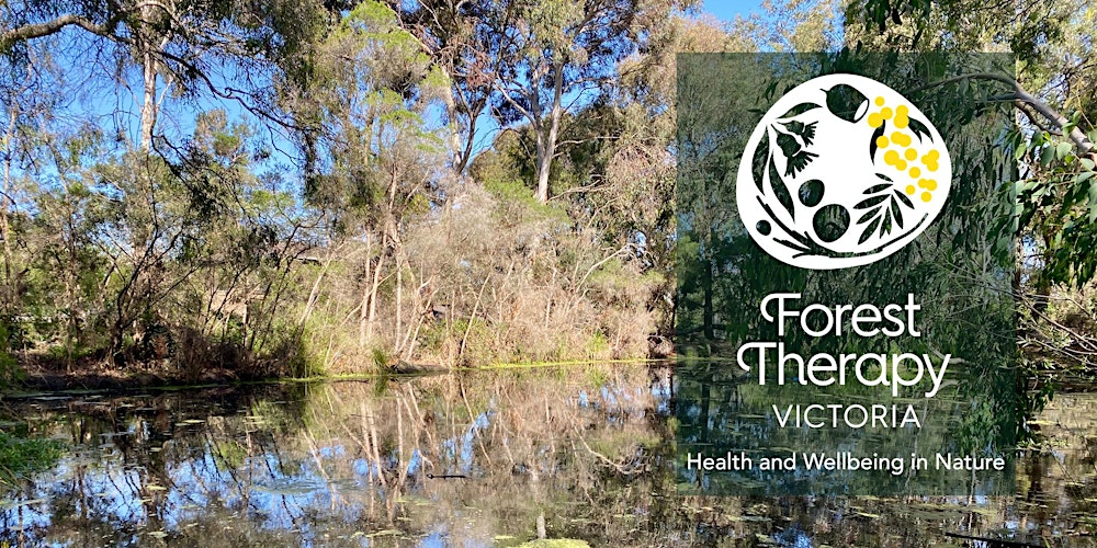 Forest Therapy Experience: Urban Forest Reserve, Malvern East