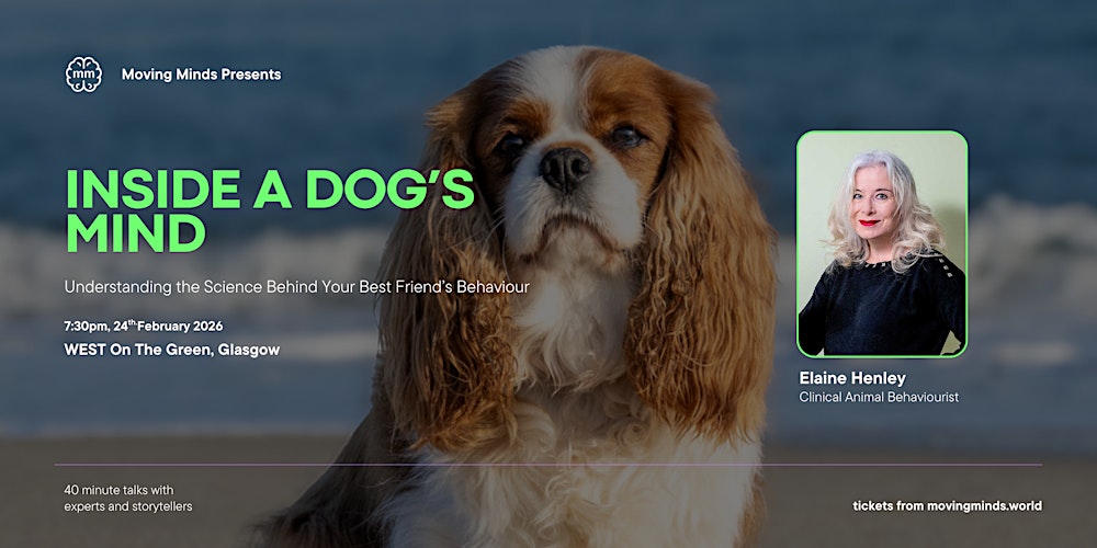 Inside a Dog’s Mind: The Science Behind Your Best Friend’s Behaviour