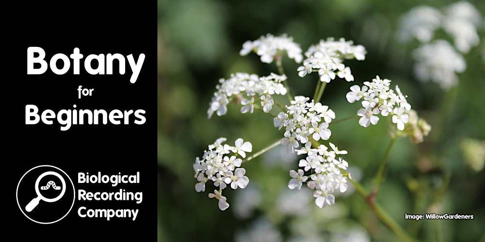 Botany for Beginners