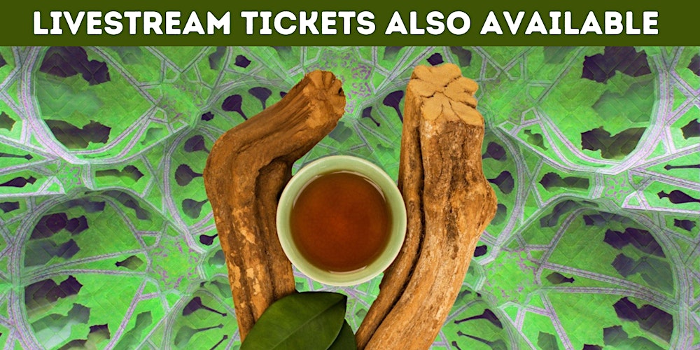 The Science of DMT & Ayahuasca with Dr Chris Timmermann