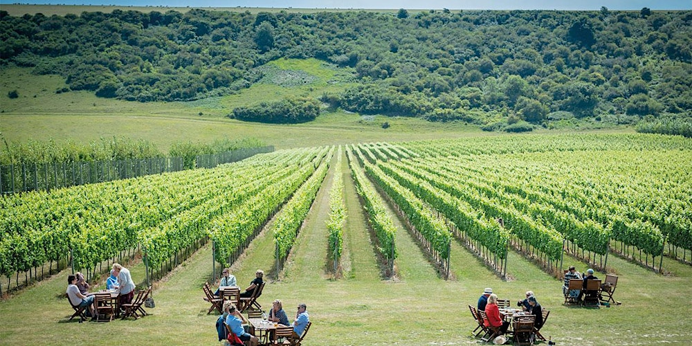 Wine Tasting: Exploring Fine Burgundy