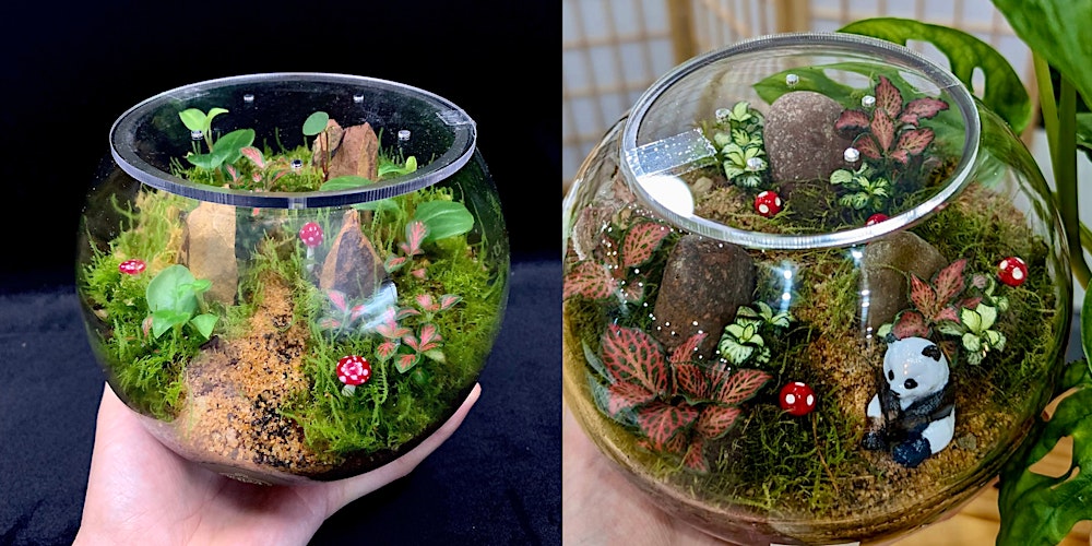 Beginner Terrarium Building Workshop
