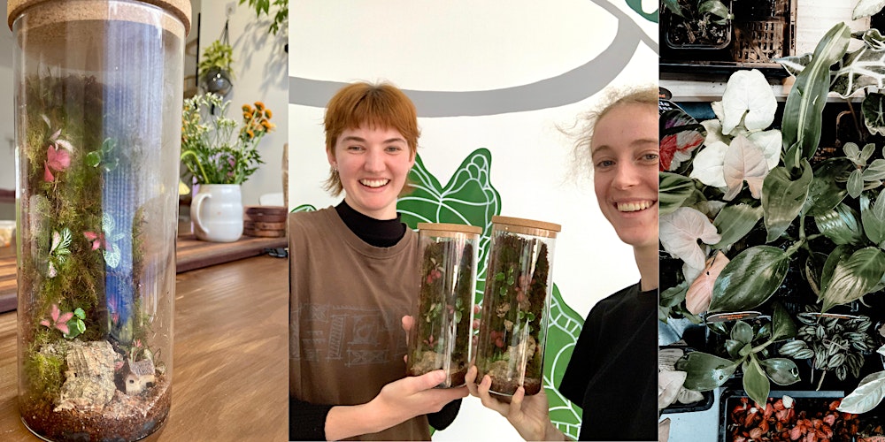 Intermediate Terrarium Building Workshop
