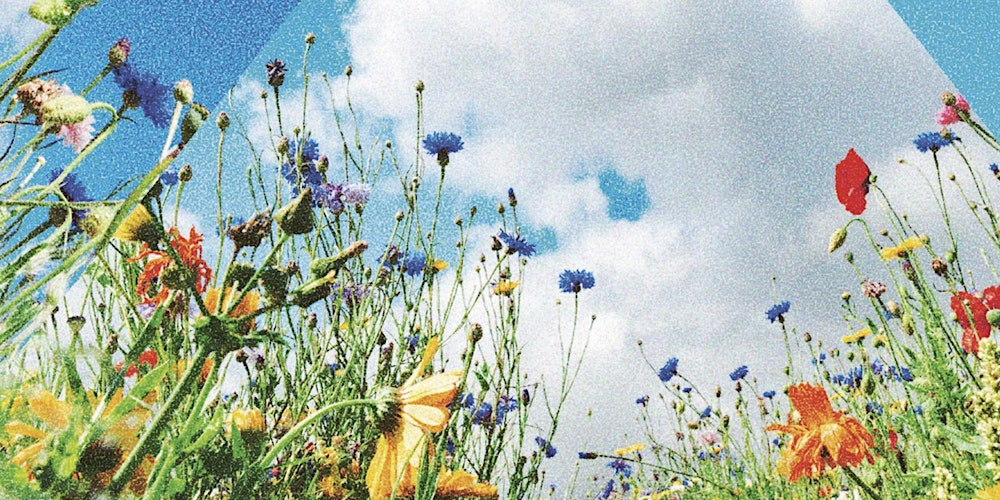 A journey into consciousness (Theatre)