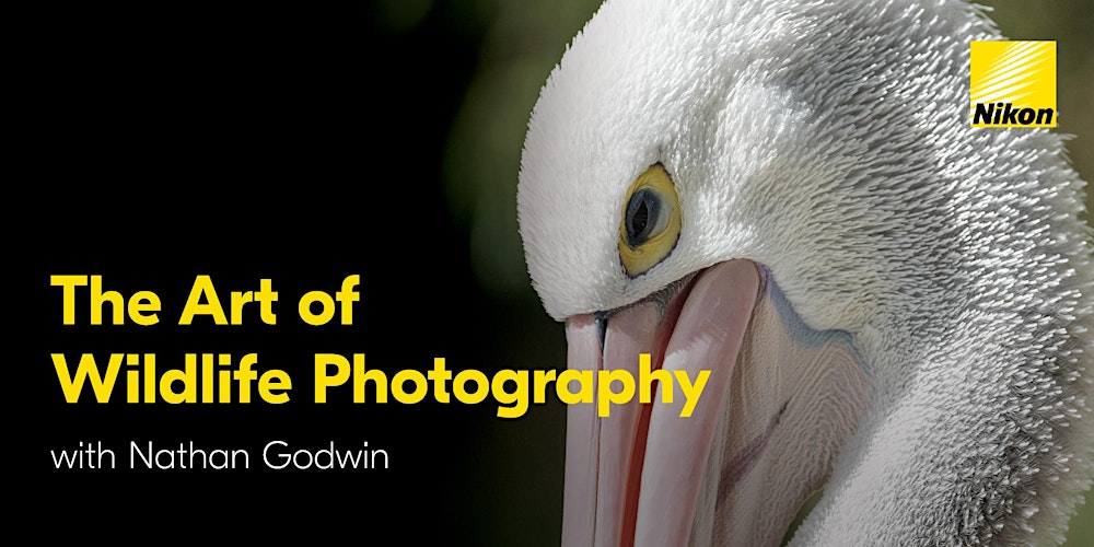 The Art of Wildlife Photography with Nathan Godwin