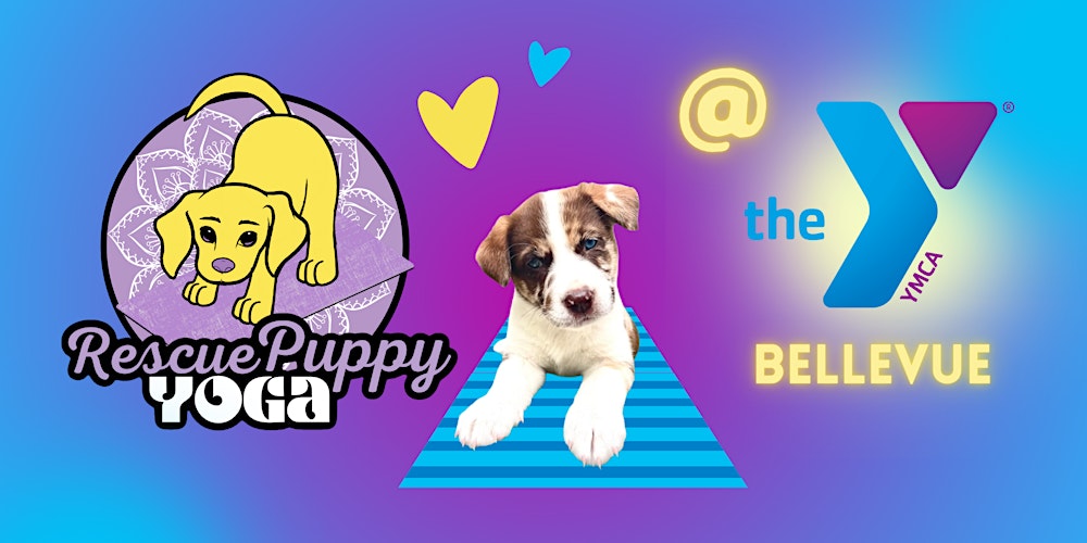Rescue Puppy Yoga - Bellevue Family YMCA