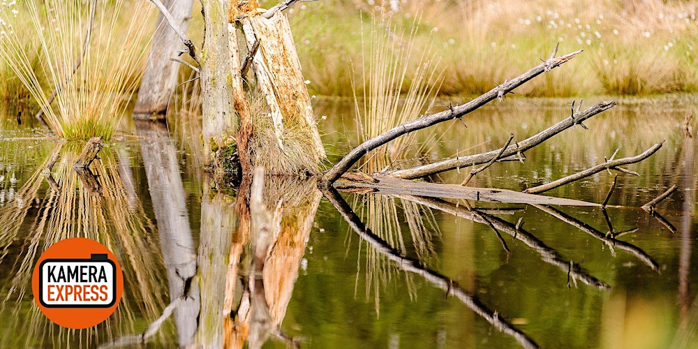 LANDSCHAFTSFOTOGRAFIE LÜNEBURGER HEIDE IM PIETZMOOR