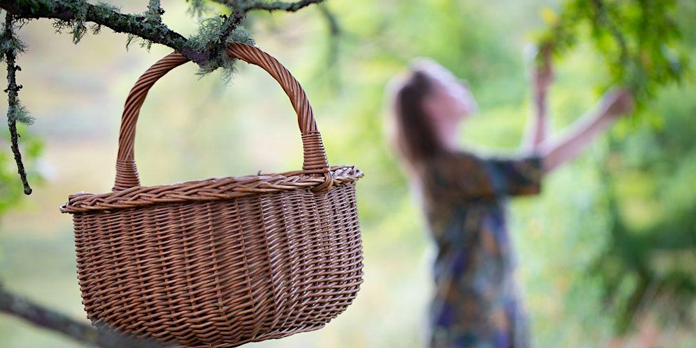 Foraging Across the Seasons (Spring)