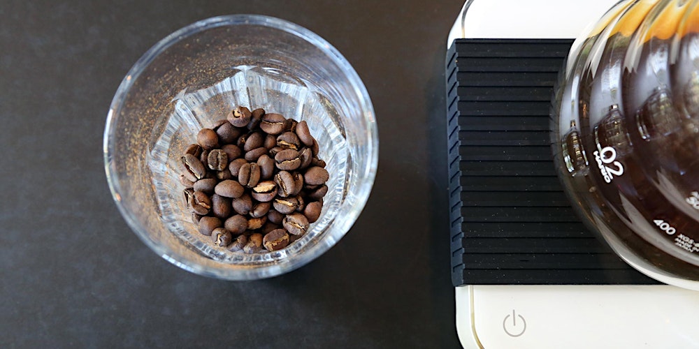 Brewing Science - Atlanta