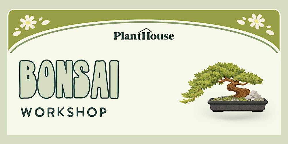 Bonsai Workshop