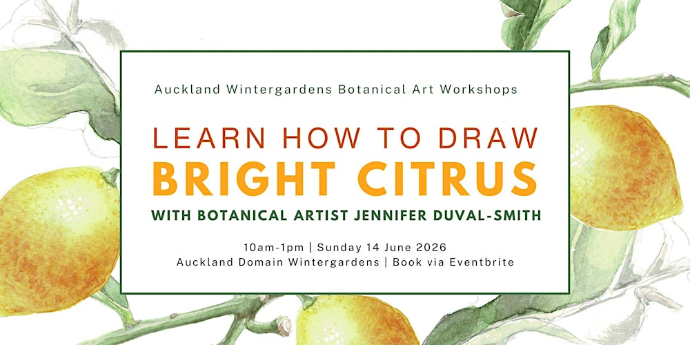 Learn To Draw Bright Citrus - Botanical Art Workshop