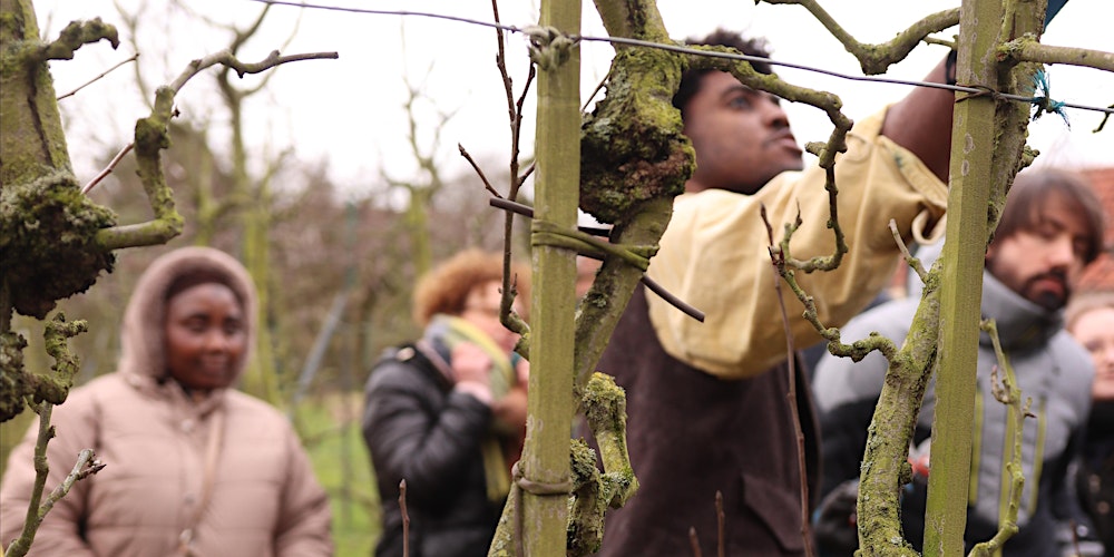 Atelier de taille des pommiers — Avec l'association ZéRA