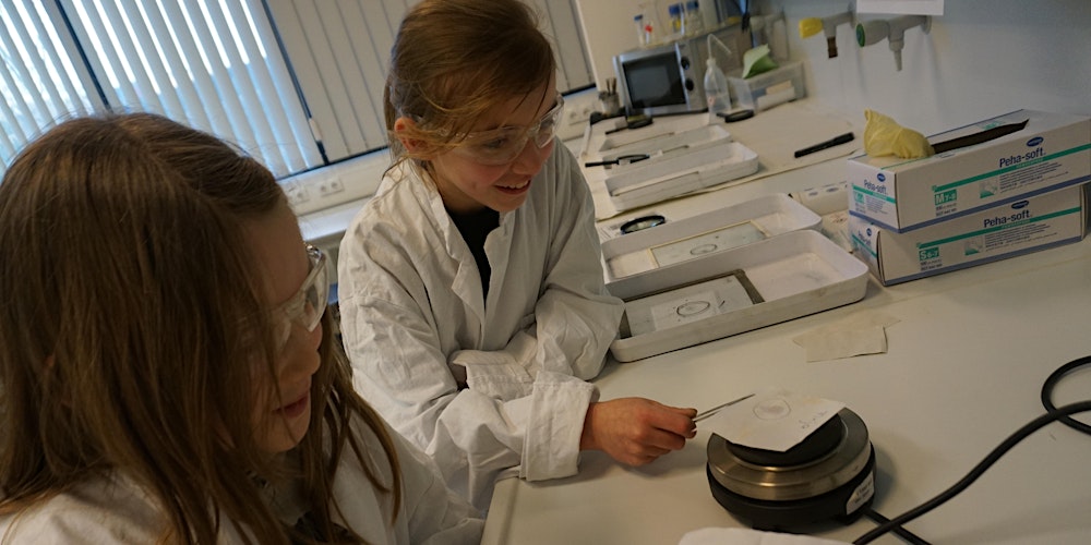 Dem Täter auf der Spur