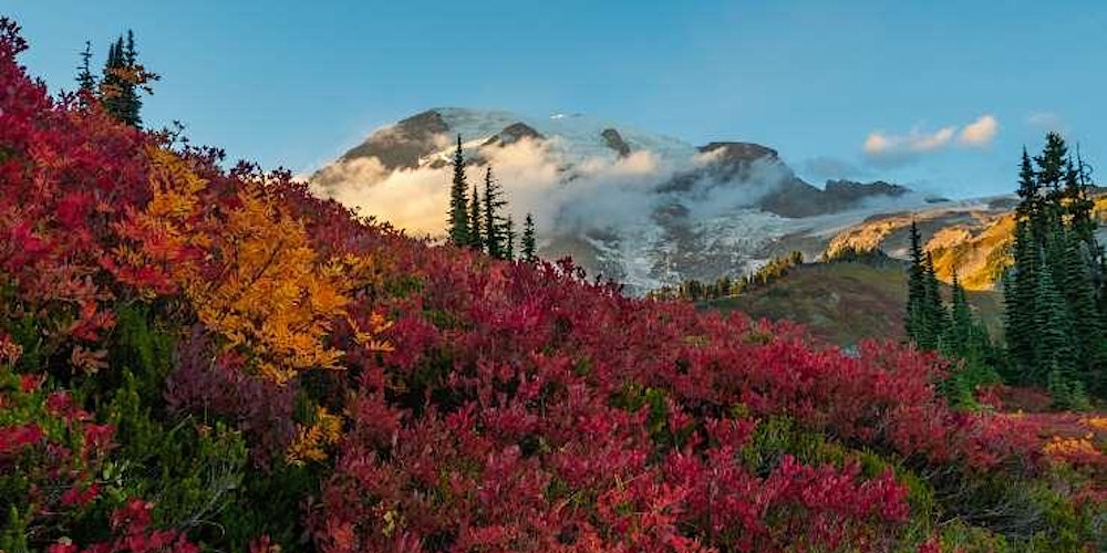 POD01: Organization Design and Development Seminar Training Program