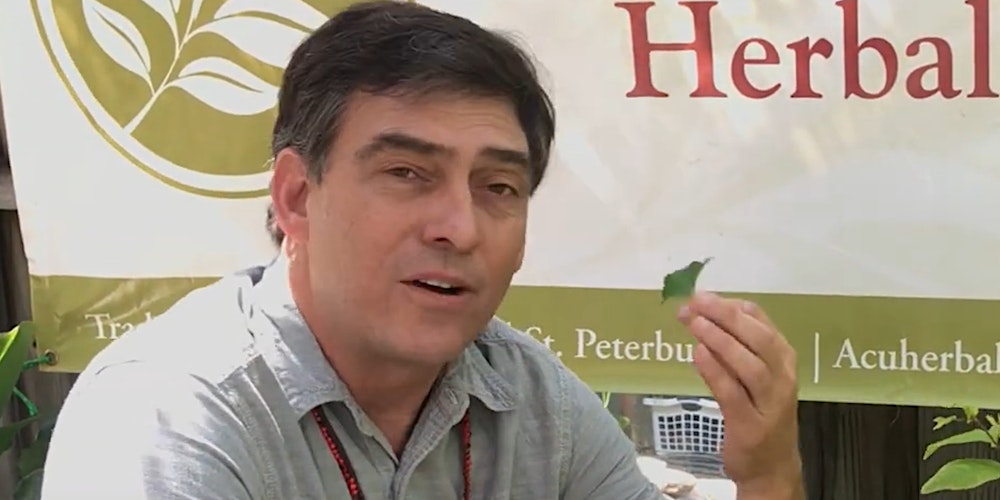 Medicinal Herb Walk with Bob Linde at 12noon and 2PM