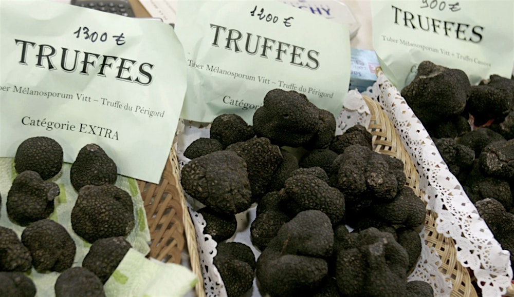 Premiere Class: Truffles 201—$150