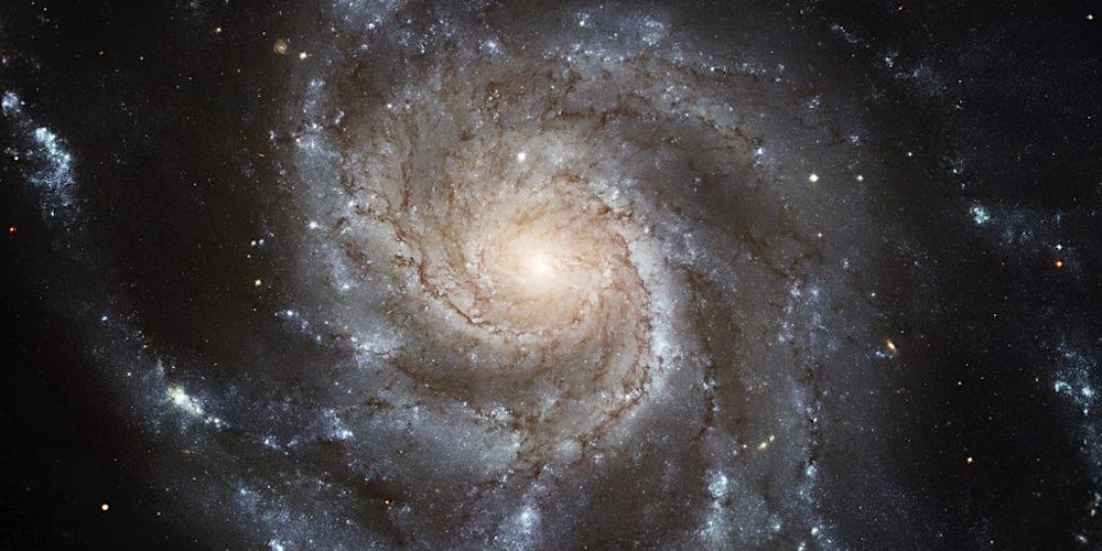 Family Fun Day: Spectacular Space!