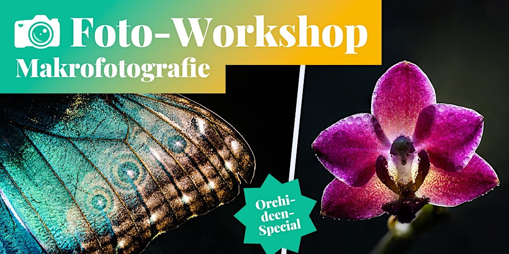 Fotokurs: Makrofotografie - Orchideenblüten-Special