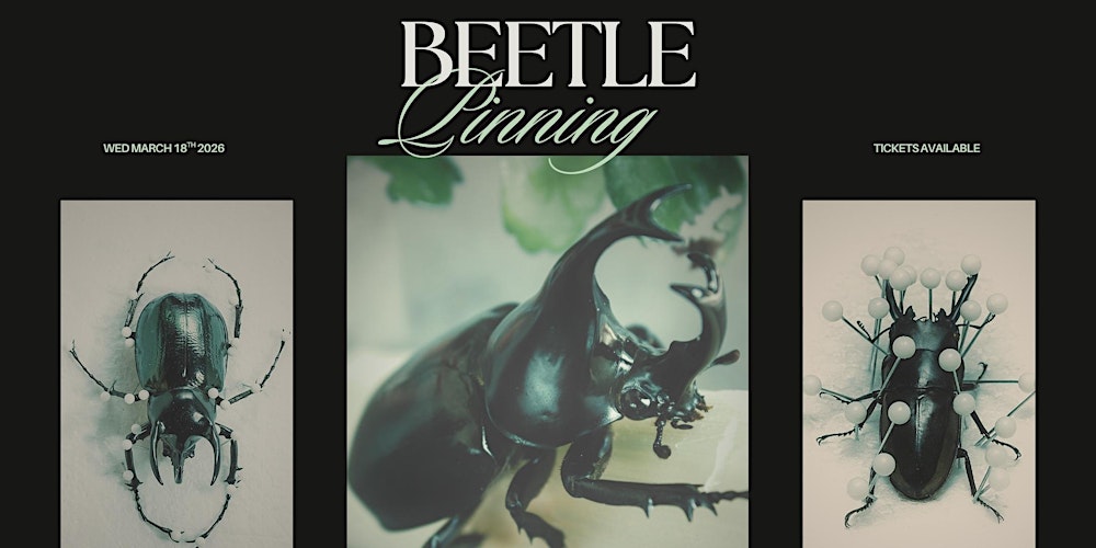 Beetle Pinning Workshop