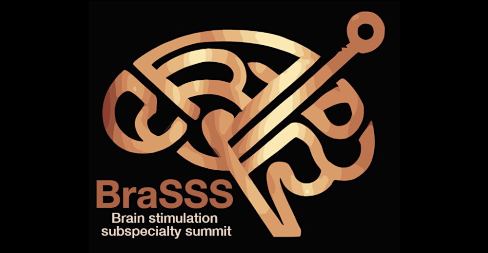 Brain Stimulation Subspecialty Summit (BraSSS)