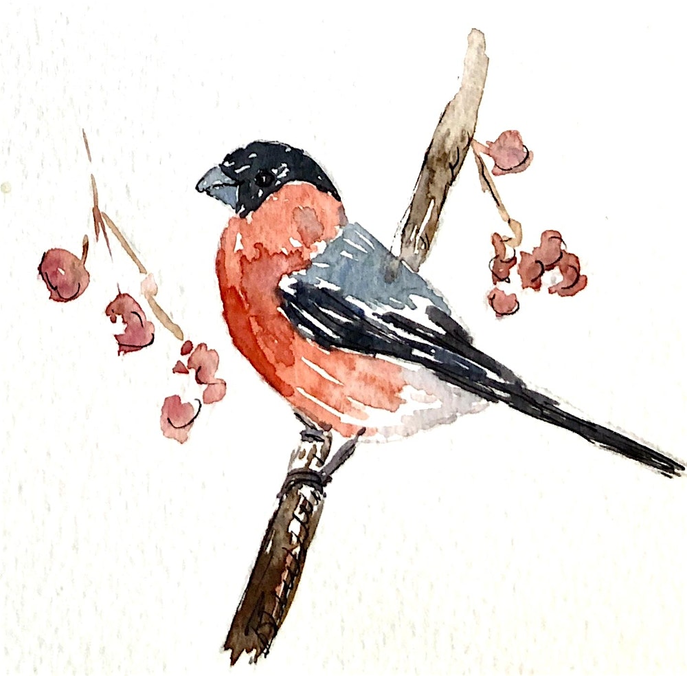 Paint British birds with watercolour