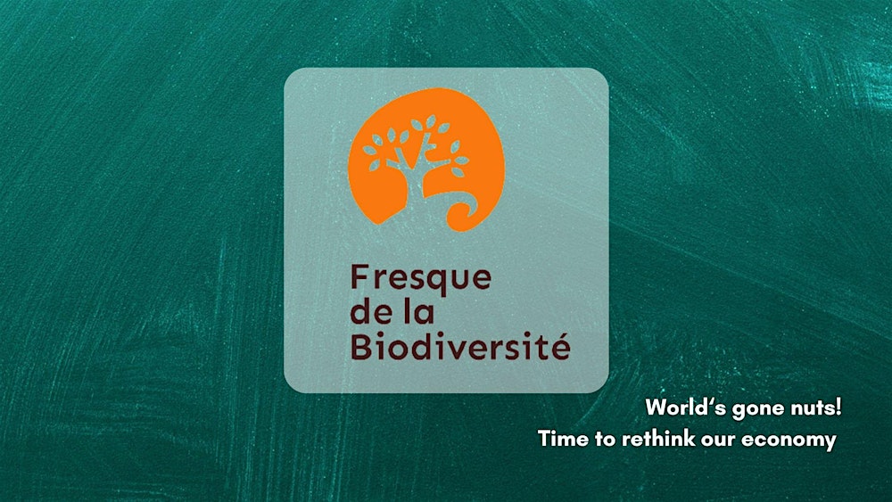 Fresque de la biodiversité + Afterwork Natagora