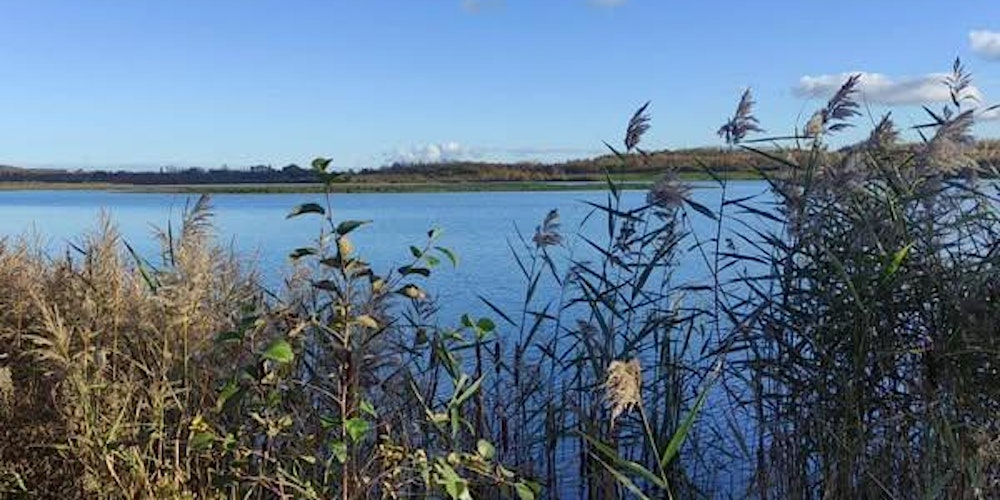 Experience Community St Aidan's Nature Reserve Ramble