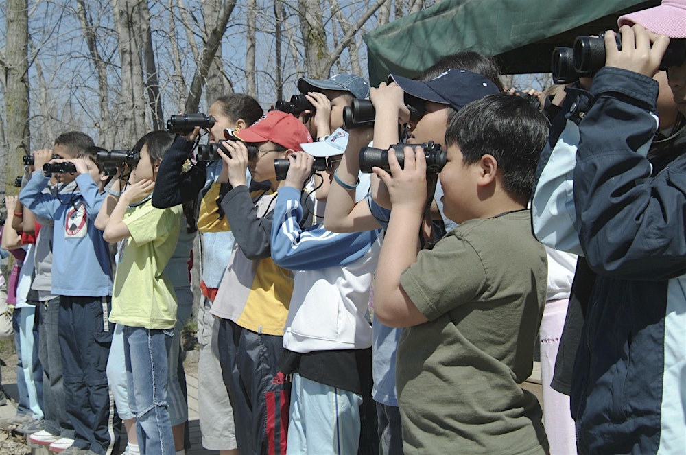 Winter Birding Series: Guided Birding Adventure
